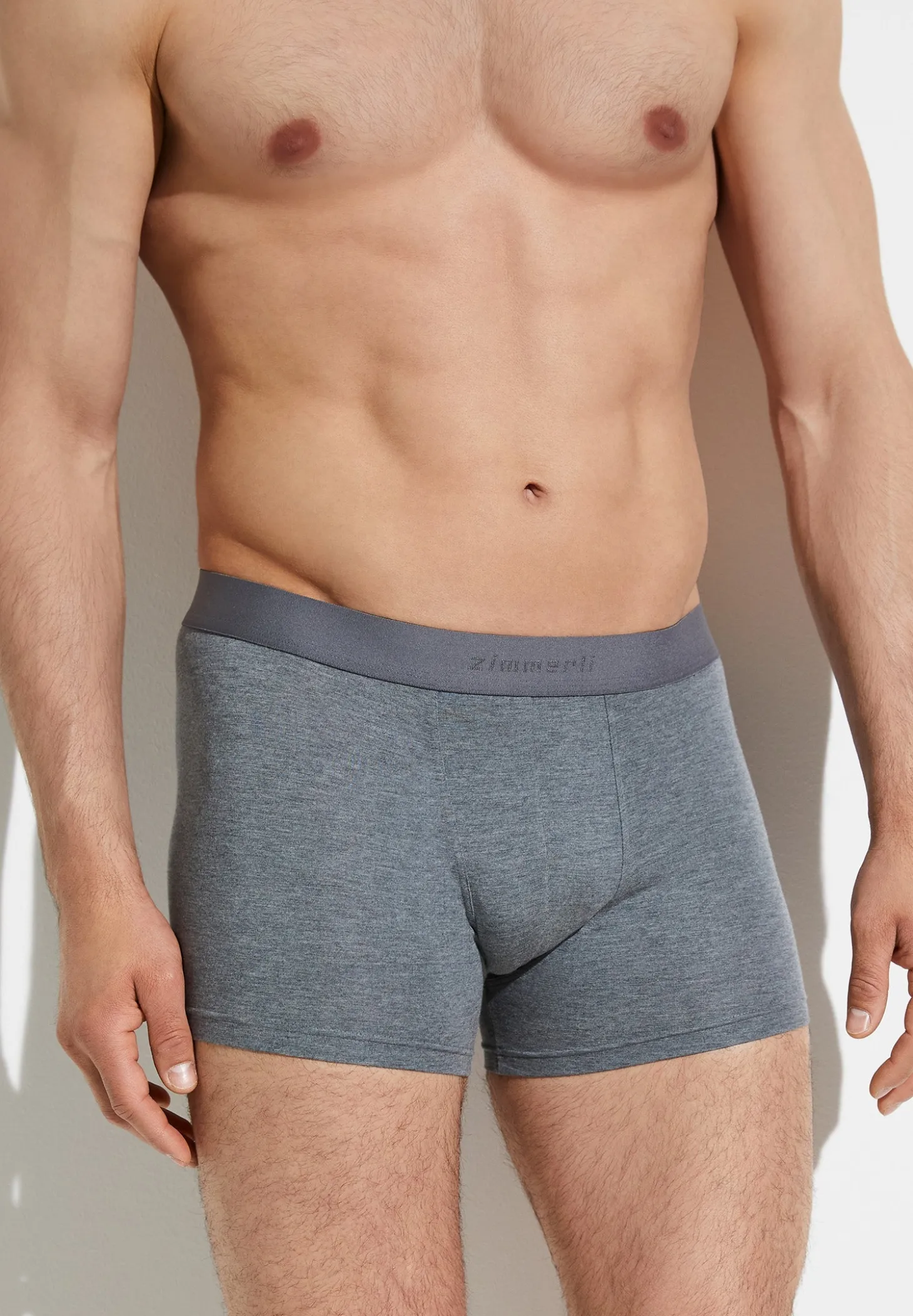 Homme Zimmerli PurenessBoxer Trunk - grey mélange