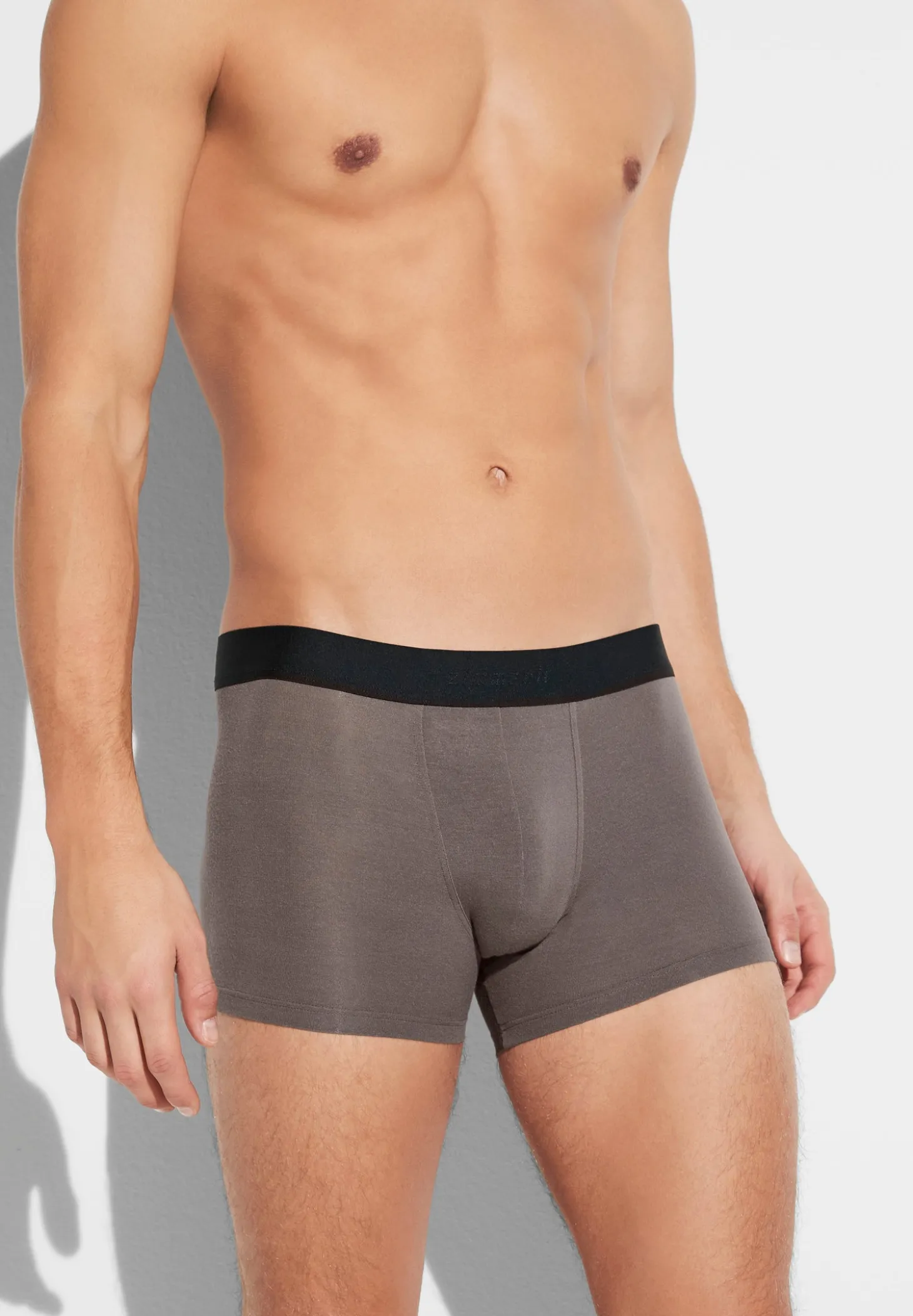 Homme Zimmerli PurenessBoxer Trunk - maple wood